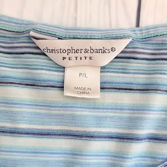 Christopher & Banks Striped Blue Women's Top Size PL - Picture 8 of 11